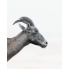 adam-davis-dt6i1sodwhu-unsplash